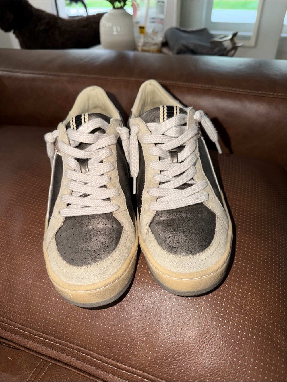 Casual Suede & Leather Sneakers in Black and Cream